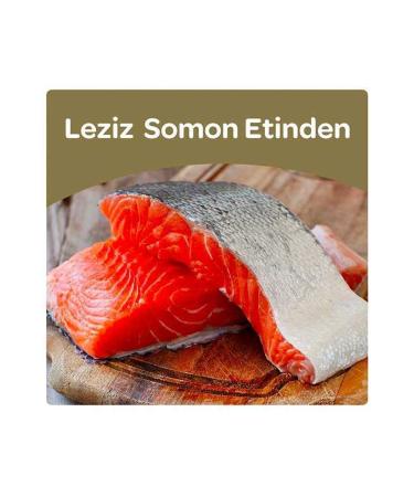 obivan Salmon and Anchovy Sterilized Cat Food 10kg - Buy Online on GoSupps.com