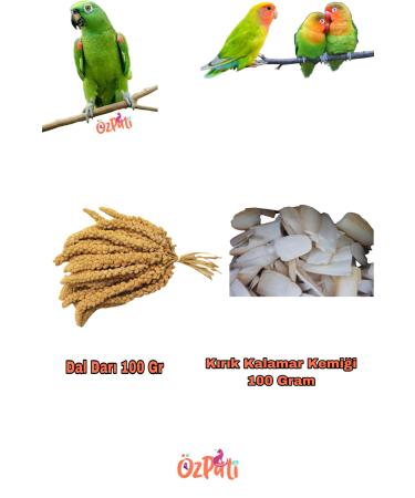 Ozpati Dal Millet + Squid Bone (Broken)