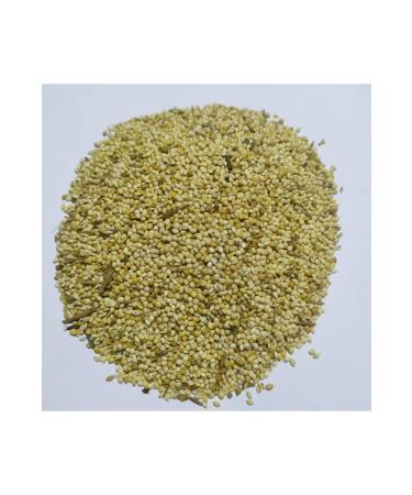 Bereketlimama White Millet - Budgie Food - 25 Kilograms