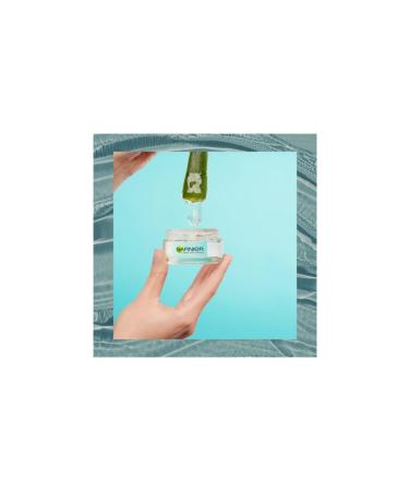 Garnier Hyaluronic Aloe Gel Daily Moisturizing Gel 50 ml - Buy Online on GoSupps.com