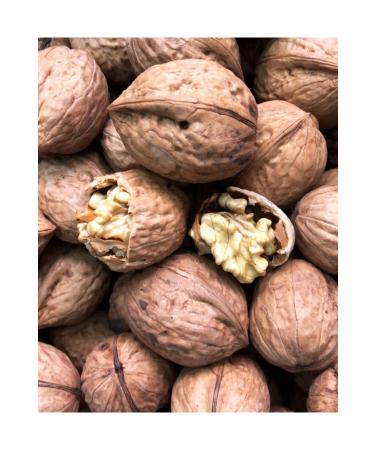 SUPERIOR LOCAL Adilcevaz Walnut 3 Kg - Buy Online on GoSupps.com
