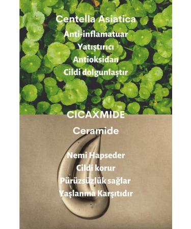 Dermal Cica X Mide Centella Asiatica and Ceramide Essence Eye Cream Eye Contour Cream 40 gr - Buy Online on GoSupps.com