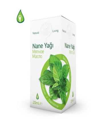 Mint Oil for Pregnancy 20 ml