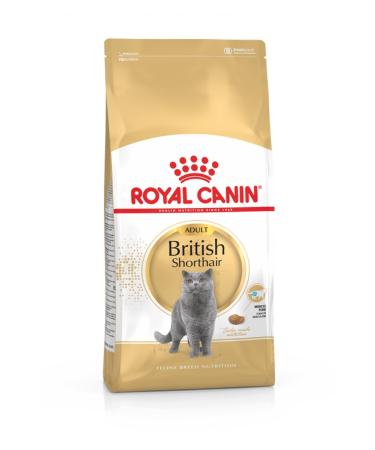 Royal Canin British Shorthair Adult Cat Food 10 Kg
