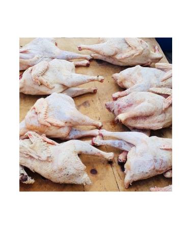 Kars Village Chicken (FE E) from Organic Market (1.25-1.5 KG)