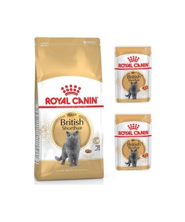 Royal Canin British Shorthair Adult Cat Food 10 Kg - Buy Online on GoSupps.com