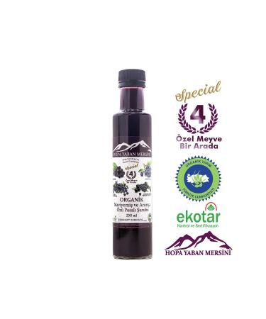 Hopa Blueberry Organic Blueberry and Aronia Extract Pulp Syrup - Sugar Free - 250ml