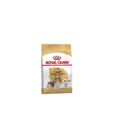 Royal Canin Royal Canin 1.5 Kg King Charles Adult Adult Dog Food
