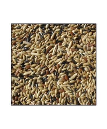 Almond Aquarium Mixed Canary Food 5 Kg Open