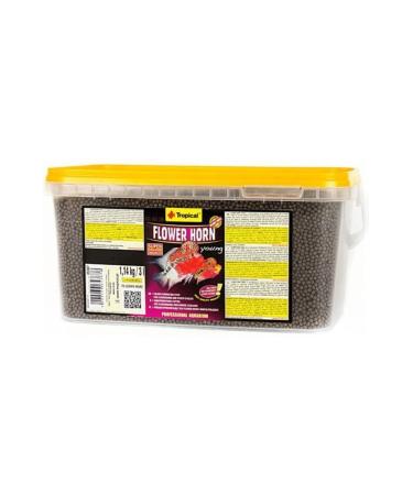 Tropical Flowerhorn Young 100 Gr