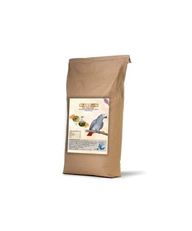 Canary Bird Starter Economy Package!!!