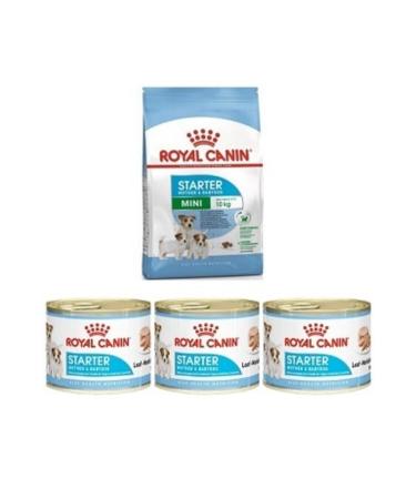 Royal Canin Mini Starter 3 Kg + 3'lu Starter Canned Wet Dog Food 195 Gr