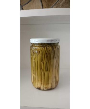 Natural Trigger Chasir 660 Cc Glass Jar