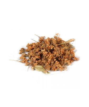 plant land Linden Flower 25gr