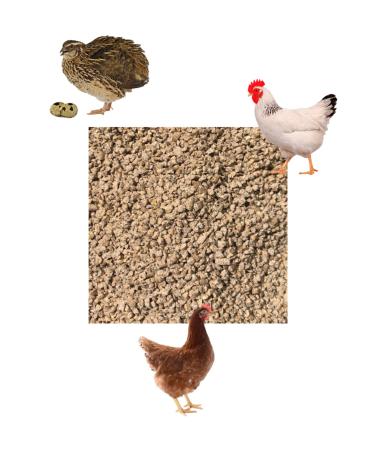 otolasticaret Granular Quail Pullet Chicken Feed 5 Kg