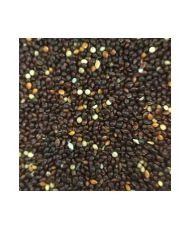 Ingro Black Millet 10000 G
