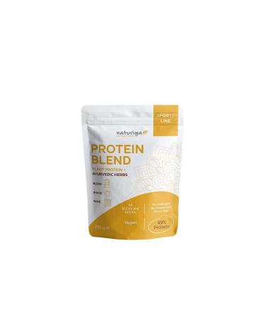Natural Iga Ayurvedic Protein Mix 250 Gr