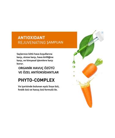Insight Antioxidant Rejuvenating Organic Protecting Sulfate And Paraben Free Shampoo 900 Ml - Buy Online on GoSupps.com