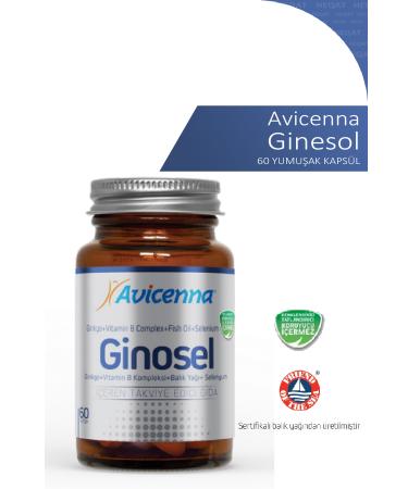 Avicenna Ginosel - Fish Oil Ginkgo Vitamin B Selenium Containing Supplementary Food - 60 Softgel Capsules
