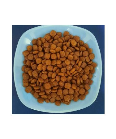 PUPA PET FOOD Lily Cat Neutered Cat Food - Buy Online on GoSupps.com