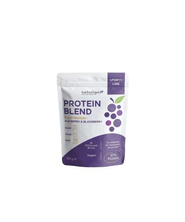 Natural Iga A a and Blackberry Protein Mix 250 Gr