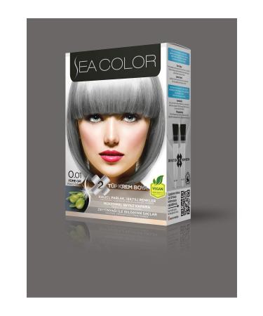 Sea Color Smoke Gray Hair Dye 0.01