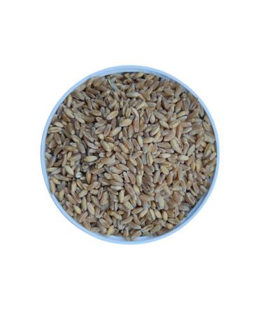 MALATYAYEM Sifted Wheat-chicken-pigeon-rooster Feed-10kg