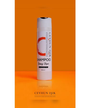 CEYHUN I IK Damage Repair