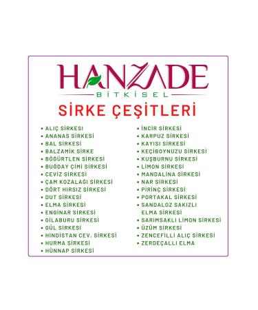 Hanzade Herbal Walnut Vinegar 500 ml Natural Fermented Pure Drinkable Glass Bottle Walnut Vinegar (CZ-194310) - Buy Online on GoSupps.com