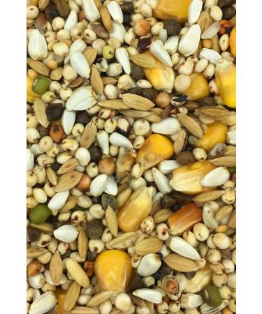 Petdoys Mixed Pigeon Food - 5 Kg - Buy Online on GoSupps.com