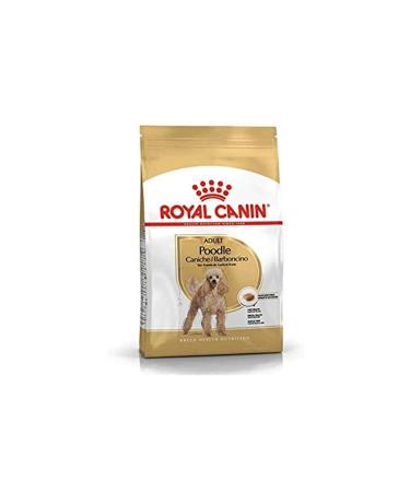 Royal Canin Mstz Royal Canin Poodle Adult Dog Food 3 Kg Zncm