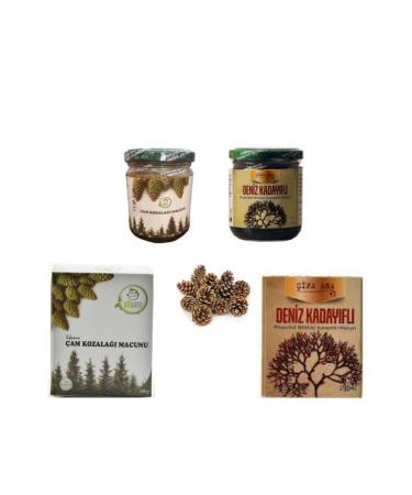 S FA MOTHER Pine Cone Paste Sea Wheat Paste