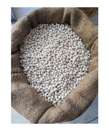 EYE Famous Ispir Dry Beans Kg - Buy Online on GoSupps.com