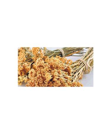 Pavrika Yarrow 100gr