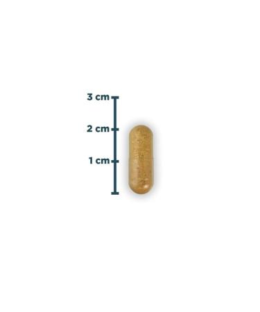 Natures Supreme Multivitamin For Men 60 Capsules - Buy Online on GoSupps.com
