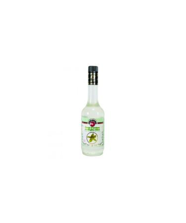 FO Garden Mint Flavored Cocktail Syrup 700 Ml