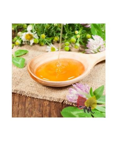 Magnificent Plants Pure Honey 1 Kg