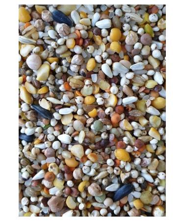 Special Mixed Pigeon Food 10 Kg
