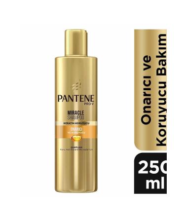 Pantene Miracle Shampoo Repair Protection 250 Ml - Buy Online on GoSupps.com