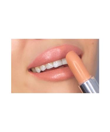 Pastel Light Structured Nude Lipstick No: 532 - Buy Online on GoSupps.com