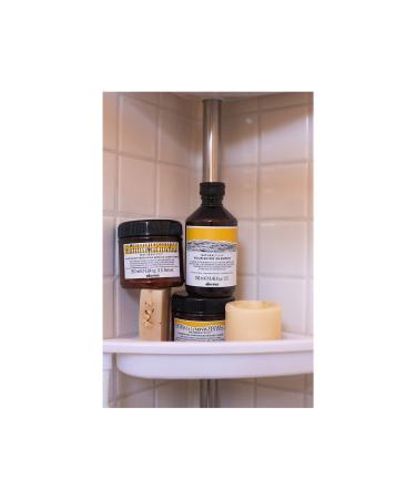 Davines Naturaltech Nourishing Natural Shampoo for Damaged and Dry Hair 250 Ml Key Hairdresser - Buy Online on GoSupps.com