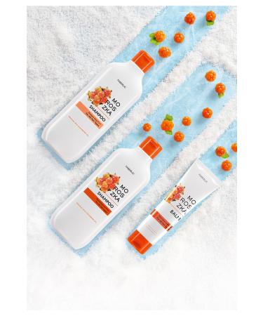 Faberlic Moroszka Series 2 in 1 Shampoo and Conditioner for All Hair Types - Buy Online on GoSupps.com