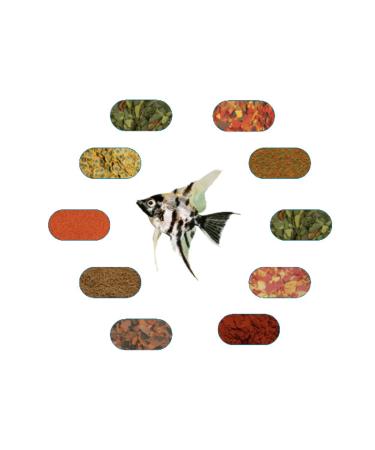 ANGEL FISH FOOD PACKAGE (50 GR - 6 TYPES)