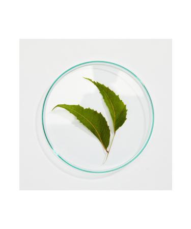 Botanicallab Face Wash Gel Neem Tree Leaf Extract Salicylic Acid For Sensitive Skin 150ml - Buy Online on GoSupps.com