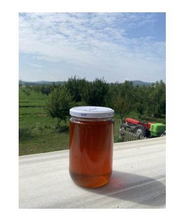 SULTAN WALNUT GARDENS 850 gr Thrace Local Production Genuine Blackthorn Honey