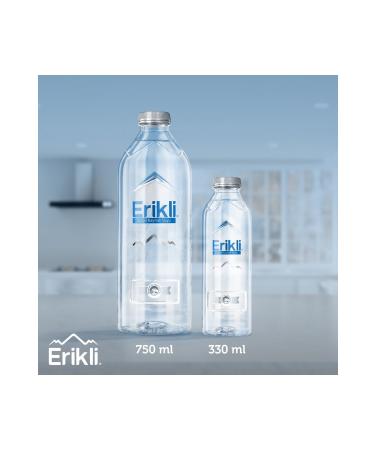 Plum Premium Bottle 750 Ml. 24 Pack