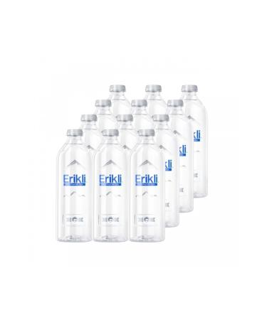 Plum Premium Bottle 750 Ml. 12 Pack