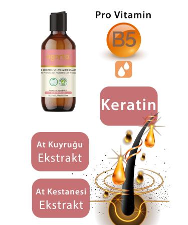 Agarta Natural Hair Color Protector and Revitalizer 400 Ml - Buy Online on GoSupps.com