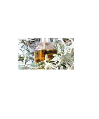Sage Tea 1 kg
