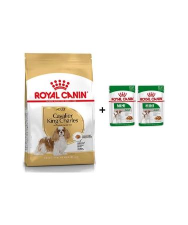 Royal Canin Cavalier King Charles Adult Dog Food 1.5 kg + 2 Pieces Wet Food